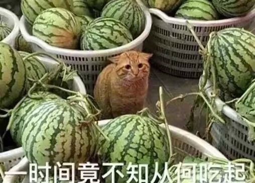 _内娱开年王炸，一人睡遍所有顶流男明星？_内娱开年王炸，一人睡遍所有顶流男明星？