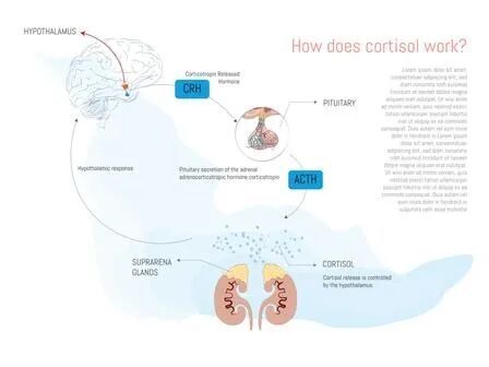 内娱开年王炸，一人睡遍所有顶流男明星？__内娱开年王炸，一人睡遍所有顶流男明星？