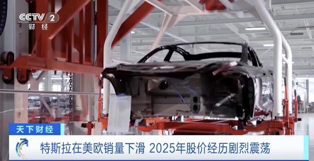 _特斯拉夺冠_比亚迪怼特斯拉