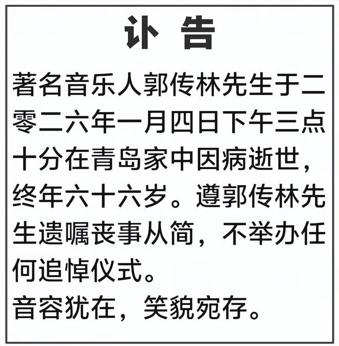 黑豹乐队窦唯无地自容_窦唯黑豹乐队演唱会_