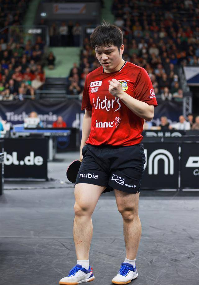 世界冠军乒乓球_乒坛世界冠军排名_