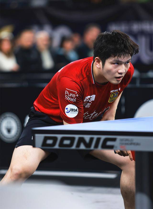 _世界冠军乒乓球_乒坛世界冠军排名