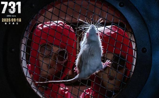 电影照相馆演员表_南京票房排名_