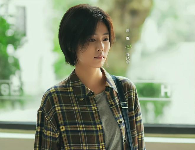 收视率吧__收视率高