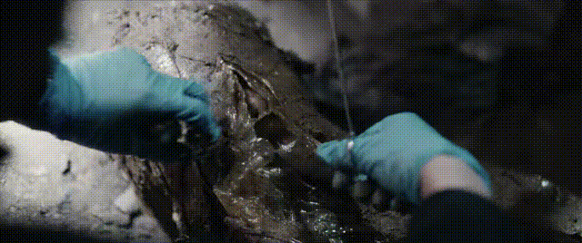 _好看的刑侦悬疑电视剧_美剧好看的悬疑推理剧