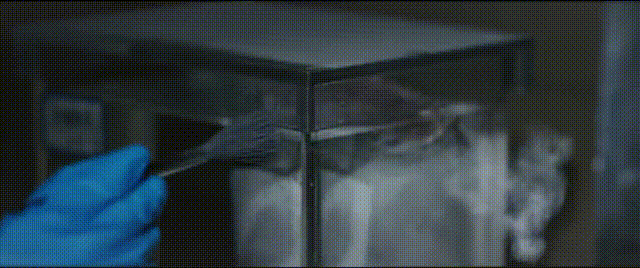 美剧好看的悬疑推理剧_好看的刑侦悬疑电视剧_