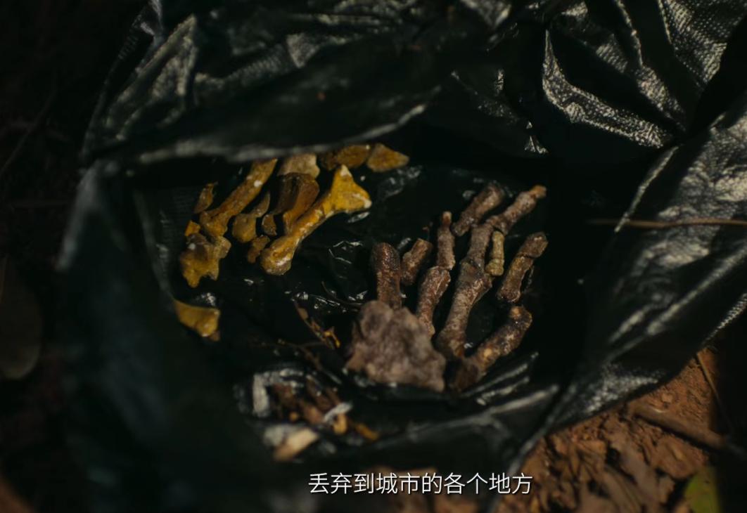 好看的刑侦悬疑电视剧__美剧好看的悬疑推理剧