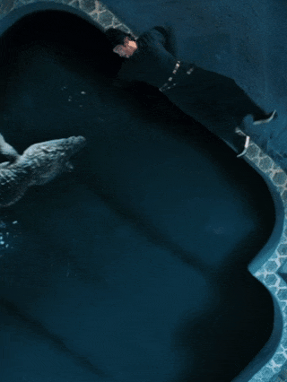 _生存指南app_生存指南书