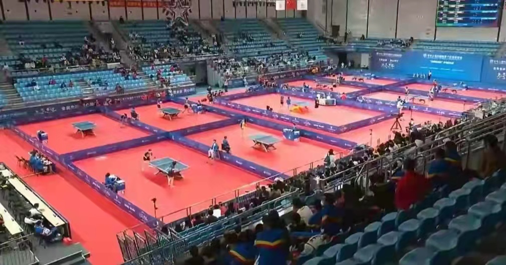 _乒乓球莎莎对战藤的视频_乒乓球莎莎