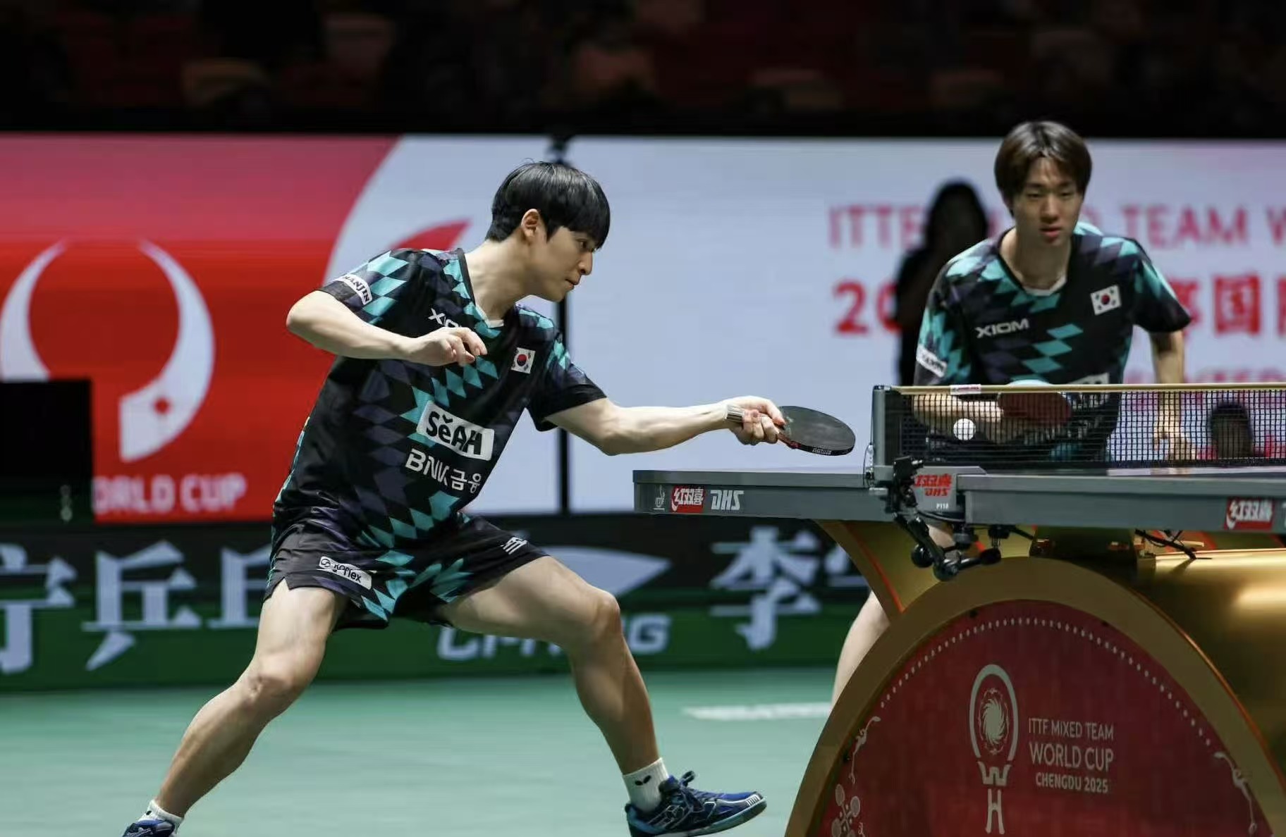 德国轰炸机图鉴__1939年德国轰炸