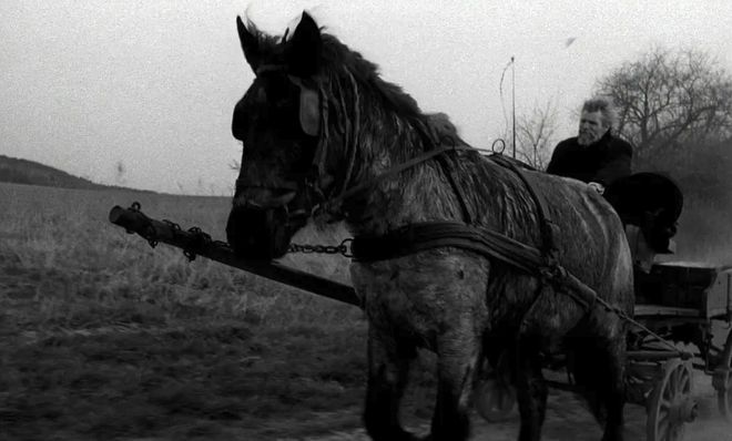 如何理解贝拉·塔尔电影中的时间？｜纪念__如何理解贝拉·塔尔电影中的时间？｜纪念