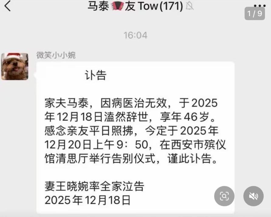 _马泰演唱_天使爱美丽手风琴演奏完整版