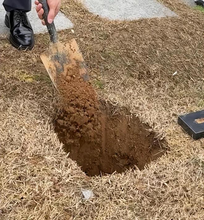 黑魂3安葬者骨灰__烈士李磊骨灰安葬视频