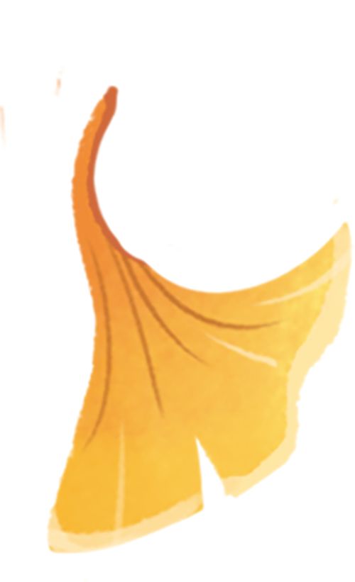 _改编的电影叫什么名字_改编电影是什么意思