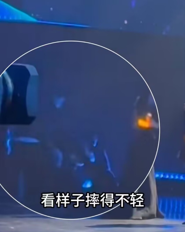 _章子怡摔鞋是哪一期_章子怡摔鞋是表演吗