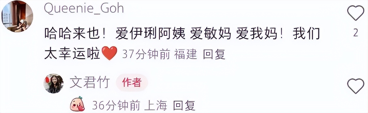 马伊琍五官_马五官是什么_