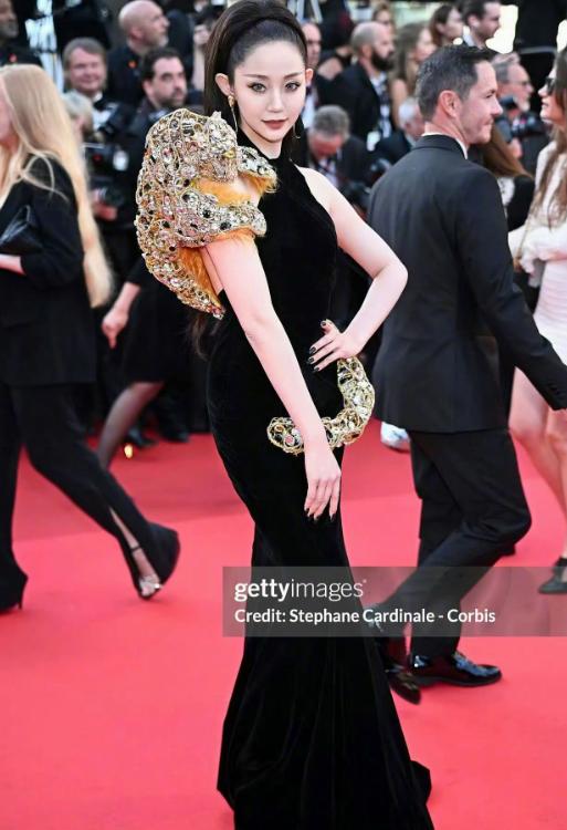 戛纳红毯百度百科__戛纳红毯是干什么的