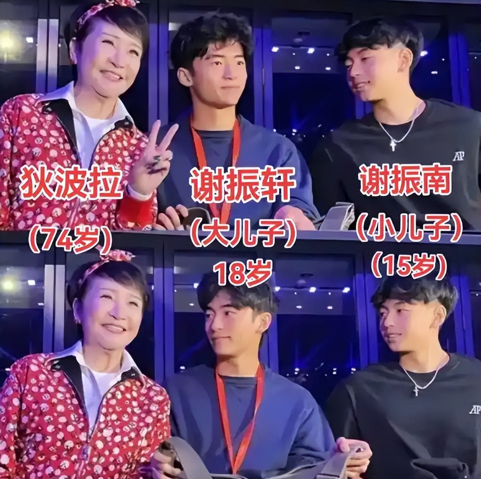 王菲谢霆锋怎么和好的_王菲谢霆锋结果_