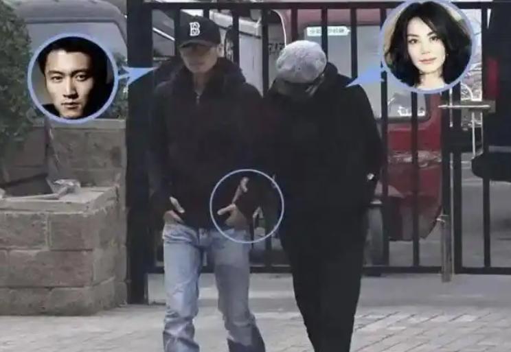 _王菲谢霆锋结果_王菲谢霆锋怎么和好的