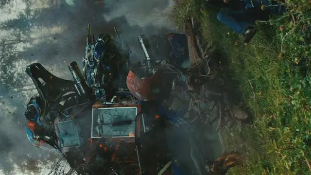 _我想看迈克尔贝_迈克尔贝客串